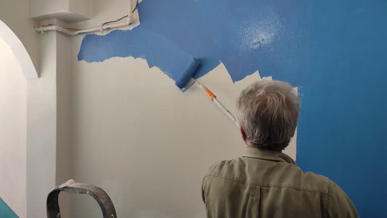 Best Fire-Damaged Drywall Repair  in Vandalia, MO